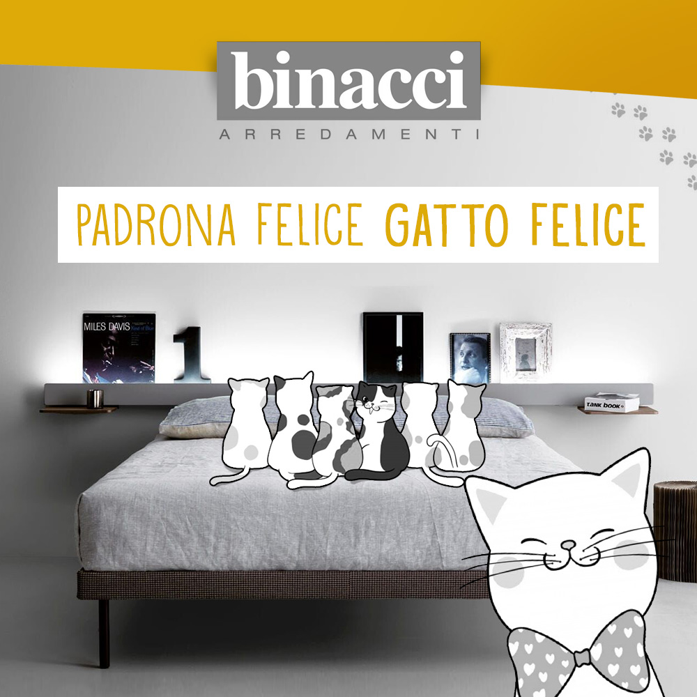 Advok gestione pagine social e creazione di piani editoriali per social a Frosinone, Latina e Roma